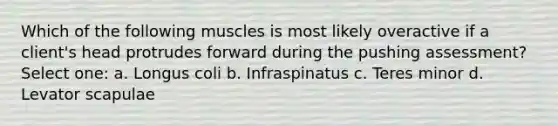 Which of the following muscles is most likely overactive if a client's head protrudes forward during the pushing assessment? Select one: a. Longus coli b. Infraspinatus c. Teres minor d. Levator scapulae