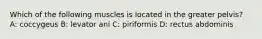 Which of the following muscles is located in the greater pelvis? A: coccygeus B: levator ani C: piriformis D: rectus abdominis