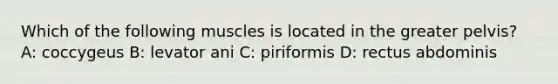 Which of the following muscles is located in the greater pelvis? A: coccygeus B: levator ani C: piriformis D: rectus abdominis