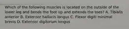 Which of the following muscles is located on the outside of the lower leg and bends the foot up and extends the toes? A. Tibialis anterior B. Extensor hallucis longus C. Flexor digiti minimal brevis D. Extensor digitorum longus