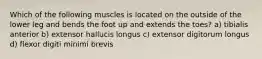 Which of the following muscles is located on the outside of the lower leg and bends the foot up and extends the toes? a) tibialis anterior b) extensor hallucis longus c) extensor digitorum longus d) flexor digiti minimi brevis