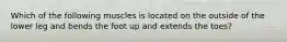 Which of the following muscles is located on the outside of the lower leg and bends the foot up and extends the toes?