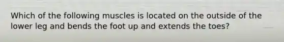 Which of the following muscles is located on the outside of the lower leg and bends the foot up and extends the toes?