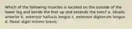 Which of the following muscles is located on the outside of the lower leg and bends the foot up and extends the toes? a. tibialis anterior b. extensor hallucis longus c. extensor digitorum longus d. flexor digiti minimi brevis