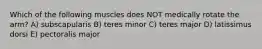 Which of the following muscles does NOT medically rotate the arm? A) subscapularis B) teres minor C) teres major D) latissimus dorsi E) pectoralis major