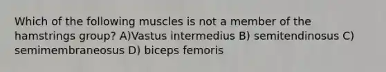 Which of the following muscles is not a member of the hamstrings group? A)Vastus intermedius B) semitendinosus C) semimembraneosus D) biceps femoris