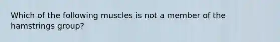 Which of the following muscles is not a member of the hamstrings group?