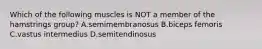 Which of the following muscles is NOT a member of the hamstrings group? A.semimembranosus B.biceps femoris C.vastus intermedius D.semitendinosus