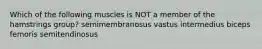 Which of the following muscles is NOT a member of the hamstrings group? semimembranosus vastus intermedius biceps femoris semitendinosus