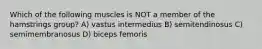 Which of the following muscles is NOT a member of the hamstrings group? A) vastus intermedius B) semitendinosus C) semimembranosus D) biceps femoris