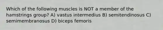 Which of the following muscles is NOT a member of the hamstrings group? A) vastus intermedius B) semitendinosus C) semimembranosus D) biceps femoris