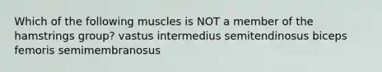 Which of the following muscles is NOT a member of the hamstrings group? vastus intermedius semitendinosus biceps femoris semimembranosus