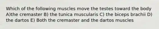 Which of the following muscles move the testes toward the body A)the cremaster B) the tunica muscularis C) the biceps brachii D) the dartos E) Both the cremaster and the dartos muscles