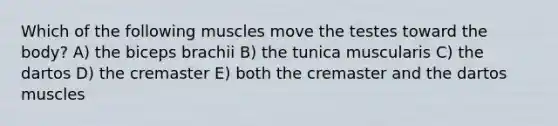 Which of the following muscles move the testes toward the body? A) the biceps brachii B) the tunica muscularis C) the dartos D) the cremaster E) both the cremaster and the dartos muscles