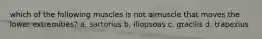 which of the following muscles is not a muscle that moves the lower extremities? a. sartorius b. iliopsoas c. gracilis d. trapezius