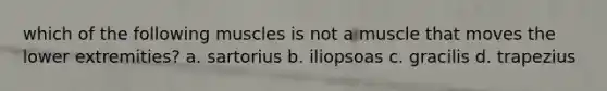 which of the following muscles is not a muscle that moves the lower extremities? a. sartorius b. iliopsoas c. gracilis d. trapezius