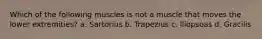 Which of the following muscles is not a muscle that moves the lower extremities? a. Sartorius b. Trapezius c. Iliopsoas d. Gracilis