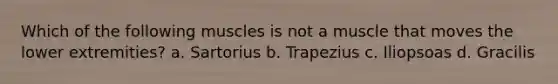 Which of the following muscles is not a muscle that moves the lower extremities? a. Sartorius b. Trapezius c. Iliopsoas d. Gracilis