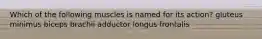 Which of the following muscles is named for its action? gluteus minimus biceps brachii adductor longus frontalis
