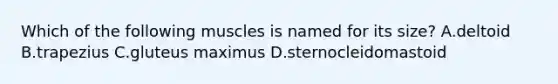 Which of the following muscles is named for its size? A.deltoid B.trapezius C.gluteus maximus D.sternocleidomastoid