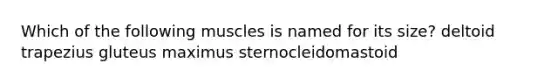 Which of the following muscles is named for its size? deltoid trapezius gluteus maximus sternocleidomastoid