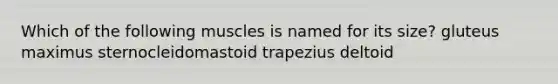 Which of the following muscles is named for its size? gluteus maximus sternocleidomastoid trapezius deltoid