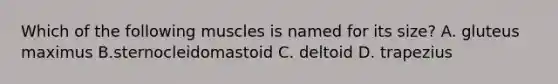 Which of the following muscles is named for its size? A. gluteus maximus B.sternocleidomastoid C. deltoid D. trapezius