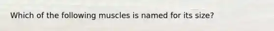 Which of the following muscles is named for its size?