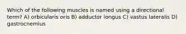 Which of the following muscles is named using a directional term? A) orbicularis oris B) adductor longus C) vastus lateralis D) gastrocnemius