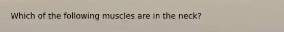 Which of the following muscles are in the neck?