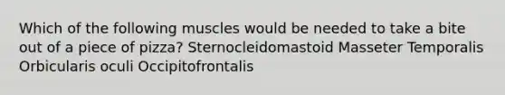 Which of the following muscles would be needed to take a bite out of a piece of pizza? Sternocleidomastoid Masseter Temporalis Orbicularis oculi Occipitofrontalis