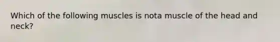 Which of the following muscles is nota muscle of the head and neck?