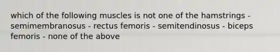 which of the following muscles is not one of the hamstrings - semimembranosus - rectus femoris - semitendinosus - biceps femoris - none of the above