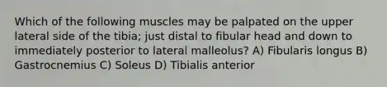 Which of the following muscles may be palpated on the upper lateral side of the tibia; just distal to fibular head and down to immediately posterior to lateral malleolus? A) Fibularis longus B) Gastrocnemius C) Soleus D) Tibialis anterior