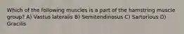 Which of the following muscles is a part of the hamstring muscle group? A) Vastus lateralis B) Semitendinosus C) Sartorious D) Gracilis