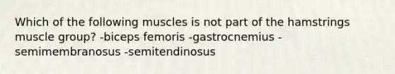 Which of the following muscles is not part of the hamstrings muscle group? -biceps femoris -gastrocnemius -semimembranosus -semitendinosus