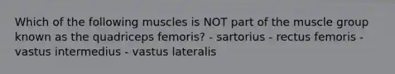 Which of the following muscles is NOT part of the muscle group known as the quadriceps femoris? - sartorius - rectus femoris - vastus intermedius - vastus lateralis