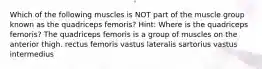 Which of the following muscles is NOT part of the muscle group known as the quadriceps femoris? Hint: Where is the quadriceps femoris? The quadriceps femoris is a group of muscles on the anterior thigh. rectus femoris vastus lateralis sartorius vastus intermedius