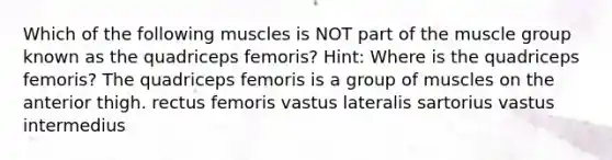 Which of the following muscles is NOT part of the muscle group known as the quadriceps femoris? Hint: Where is the quadriceps femoris? The quadriceps femoris is a group of muscles on the anterior thigh. rectus femoris vastus lateralis sartorius vastus intermedius