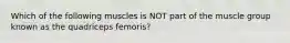 Which of the following muscles is NOT part of the muscle group known as the quadriceps femoris?