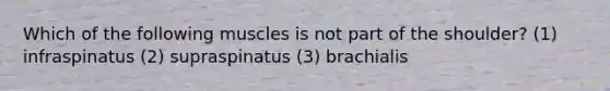 Which of the following muscles is not part of the shoulder? (1) infraspinatus (2) supraspinatus (3) brachialis