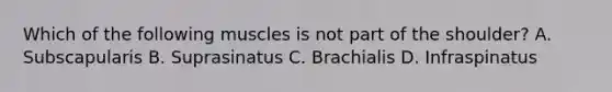 Which of the following muscles is not part of the shoulder? A. Subscapularis B. Suprasinatus C. Brachialis D. Infraspinatus