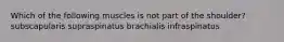 Which of the following muscles is not part of the shoulder? subscapularis supraspinatus brachialis infraspinatus