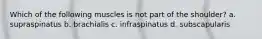 Which of the following muscles is not part of the shoulder? a. supraspinatus b. brachialis c. infraspinatus d. subscapularis