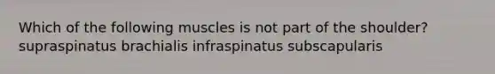 Which of the following muscles is not part of the shoulder? supraspinatus brachialis infraspinatus subscapularis