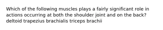 Which of the following muscles plays a fairly significant role in actions occurring at both the shoulder joint and on the back? deltoid trapezius brachialis triceps brachii