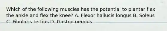 Which of the following muscles has the potential to plantar flex the ankle and flex the knee? A. Flexor hallucis longus B. Soleus C. Fibularis tertius D. Gastrocnemius