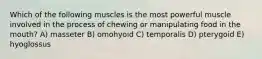 Which of the following muscles is the most powerful muscle involved in the process of chewing or manipulating food in the mouth? A) masseter B) omohyoid C) temporalis D) pterygoid E) hyoglossus