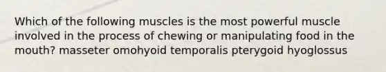 Which of the following muscles is the most powerful muscle involved in the process of chewing or manipulating food in <a href='https://www.questionai.com/knowledge/krBoWYDU6j-the-mouth' class='anchor-knowledge'>the mouth</a>? masseter omohyoid temporalis pterygoid hyoglossus