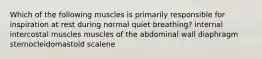 Which of the following muscles is primarily responsible for inspiration at rest during normal quiet breathing? internal intercostal muscles muscles of the abdominal wall diaphragm sternocleidomastoid scalene